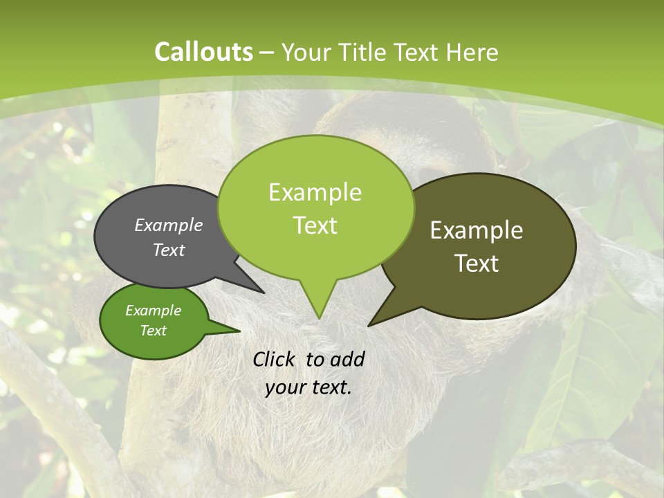 Sloth, Three Toe Juvenile Or Baby In Mango Tree, Cahuita, Costa Rica , Latin America, Exotic Mammal In Tropical Jungle PowerPoint Template
