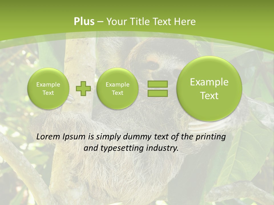 Sloth, Three Toe Juvenile Or Baby In Mango Tree, Cahuita, Costa Rica , Latin America, Exotic Mammal In Tropical Jungle PowerPoint Template
