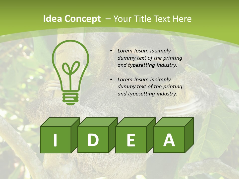 Sloth, Three Toe Juvenile Or Baby In Mango Tree, Cahuita, Costa Rica , Latin America, Exotic Mammal In Tropical Jungle PowerPoint Template