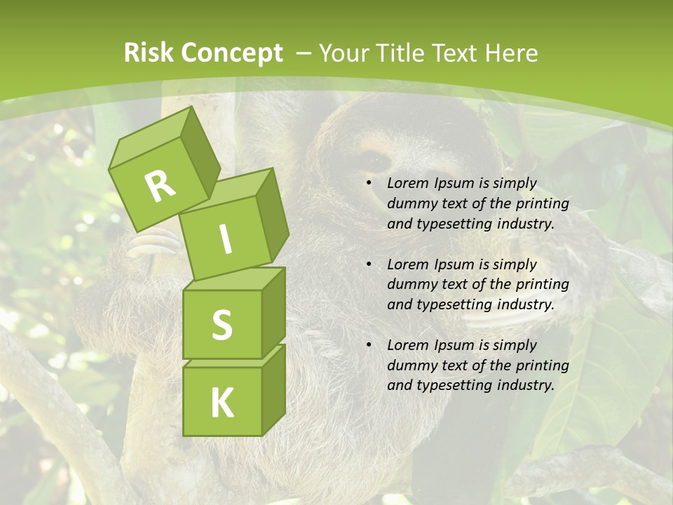 Sloth, Three Toe Juvenile Or Baby In Mango Tree, Cahuita, Costa Rica , Latin America, Exotic Mammal In Tropical Jungle PowerPoint Template