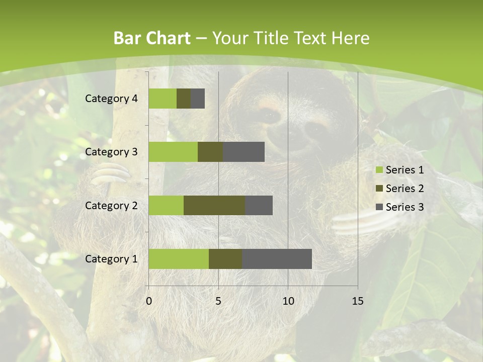 Sloth, Three Toe Juvenile Or Baby In Mango Tree, Cahuita, Costa Rica , Latin America, Exotic Mammal In Tropical Jungle PowerPoint Template