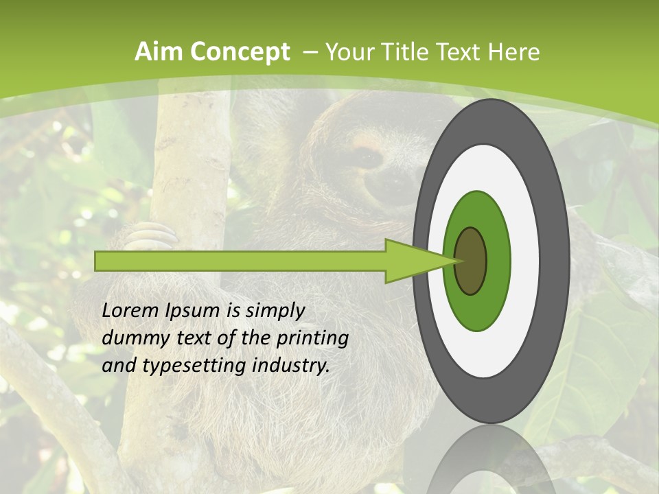 Sloth, Three Toe Juvenile Or Baby In Mango Tree, Cahuita, Costa Rica , Latin America, Exotic Mammal In Tropical Jungle PowerPoint Template