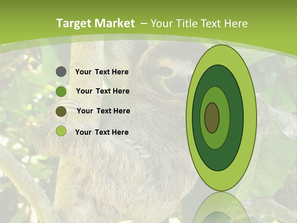 Sloth, Three Toe Juvenile Or Baby In Mango Tree, Cahuita, Costa Rica , Latin America, Exotic Mammal In Tropical Jungle PowerPoint Template