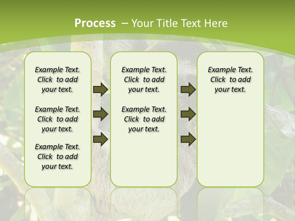 Sloth, Three Toe Juvenile Or Baby In Mango Tree, Cahuita, Costa Rica , Latin America, Exotic Mammal In Tropical Jungle PowerPoint Template