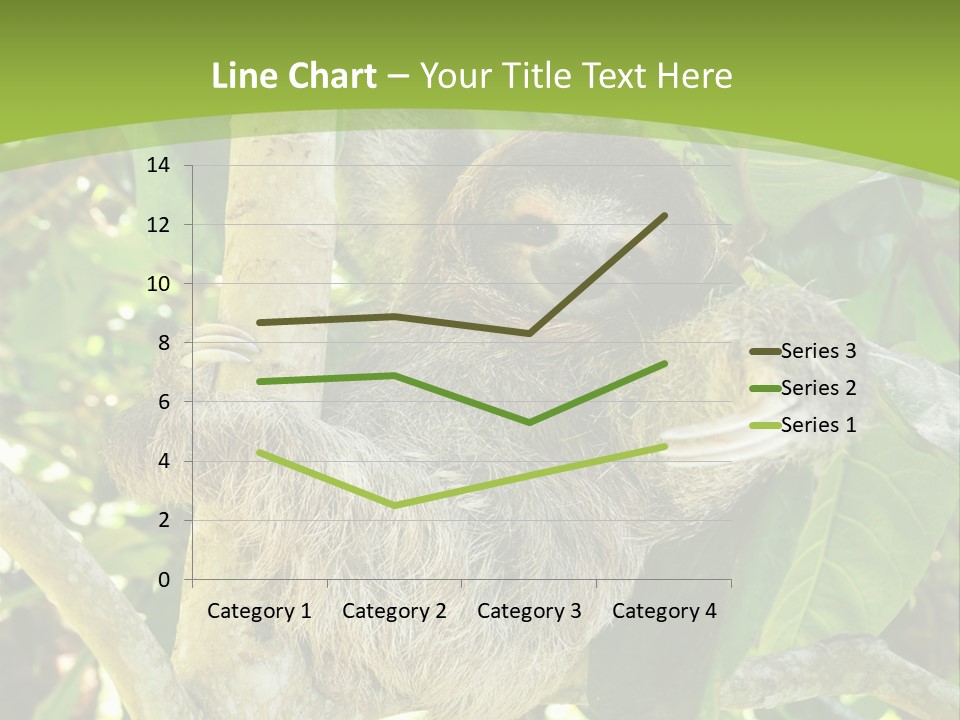 Sloth, Three Toe Juvenile Or Baby In Mango Tree, Cahuita, Costa Rica , Latin America, Exotic Mammal In Tropical Jungle PowerPoint Template