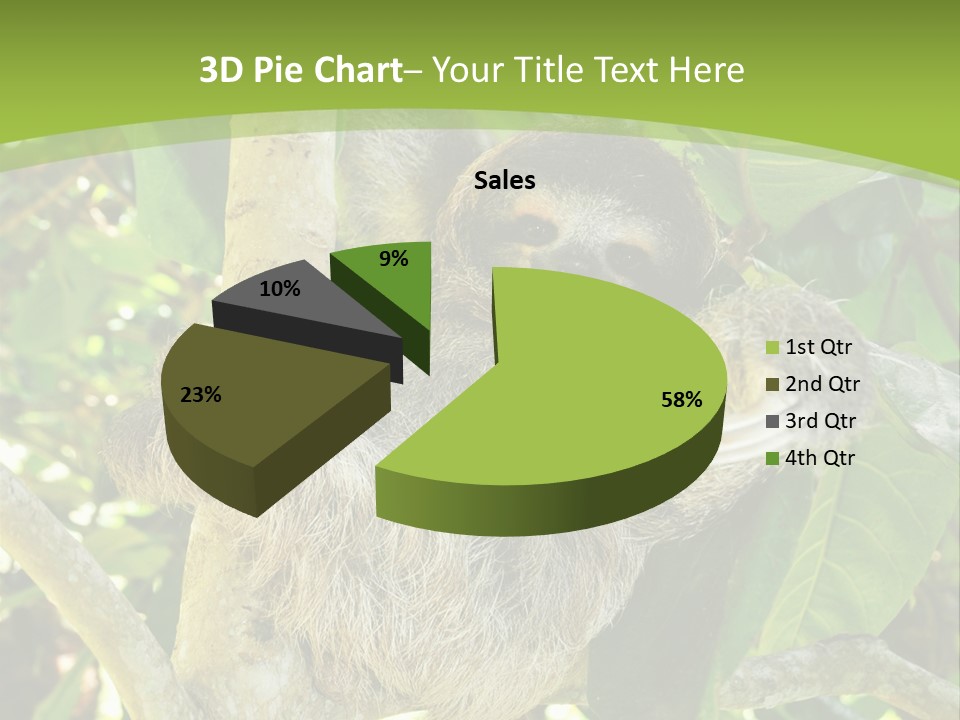 Sloth, Three Toe Juvenile Or Baby In Mango Tree, Cahuita, Costa Rica , Latin America, Exotic Mammal In Tropical Jungle PowerPoint Template