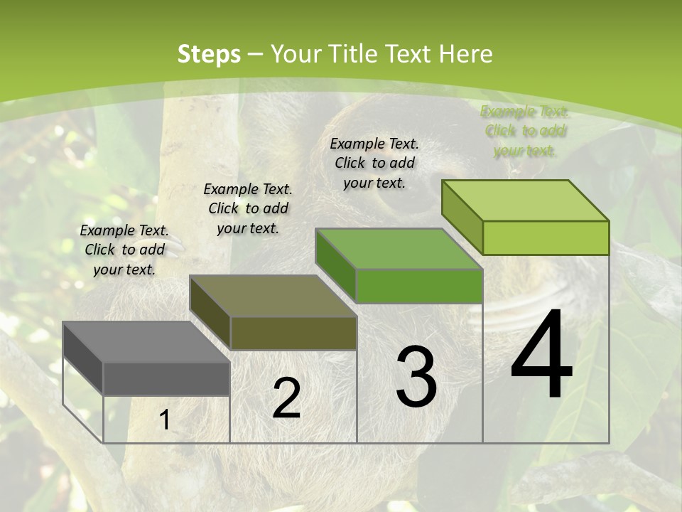 Sloth, Three Toe Juvenile Or Baby In Mango Tree, Cahuita, Costa Rica , Latin America, Exotic Mammal In Tropical Jungle PowerPoint Template
