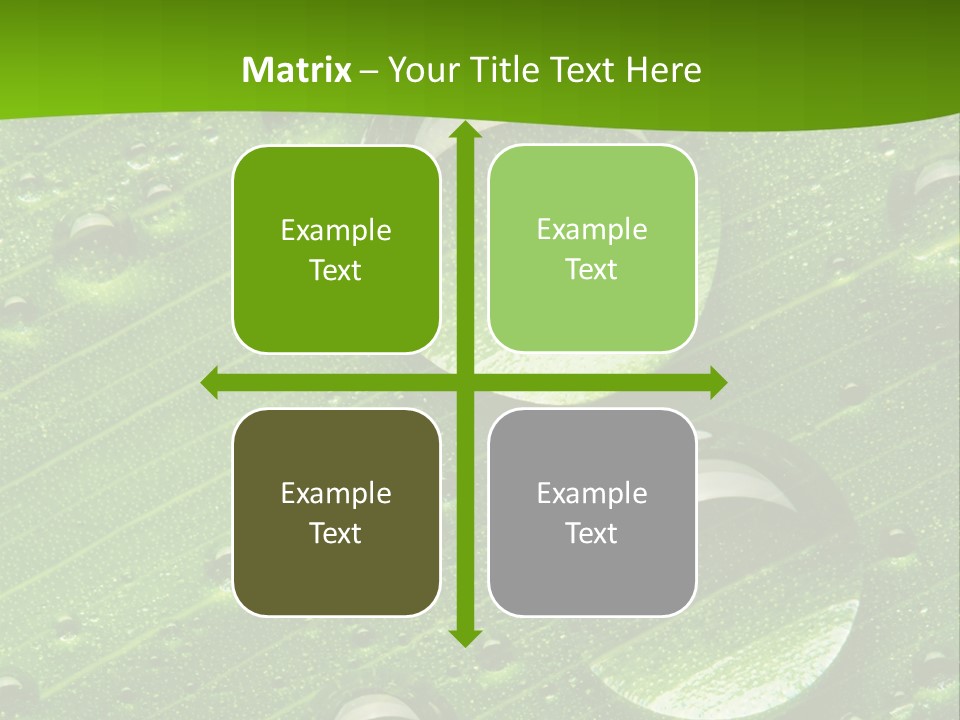 Water Drops On Fresh Green Leaf, Isolated On White PowerPoint Template