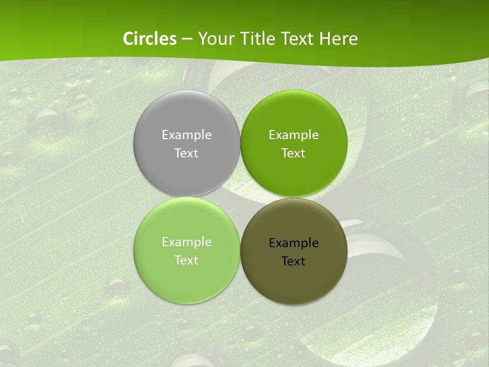 Water Drops On Fresh Green Leaf, Isolated On White PowerPoint Template