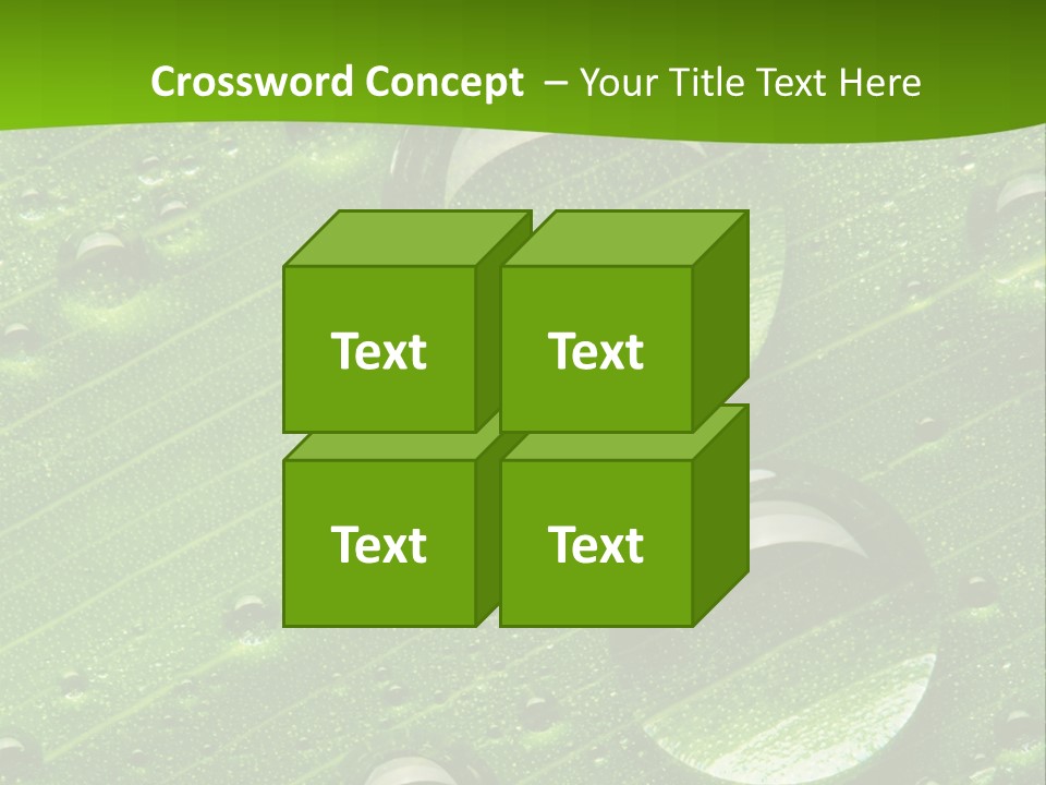 Water Drops On Fresh Green Leaf, Isolated On White PowerPoint Template