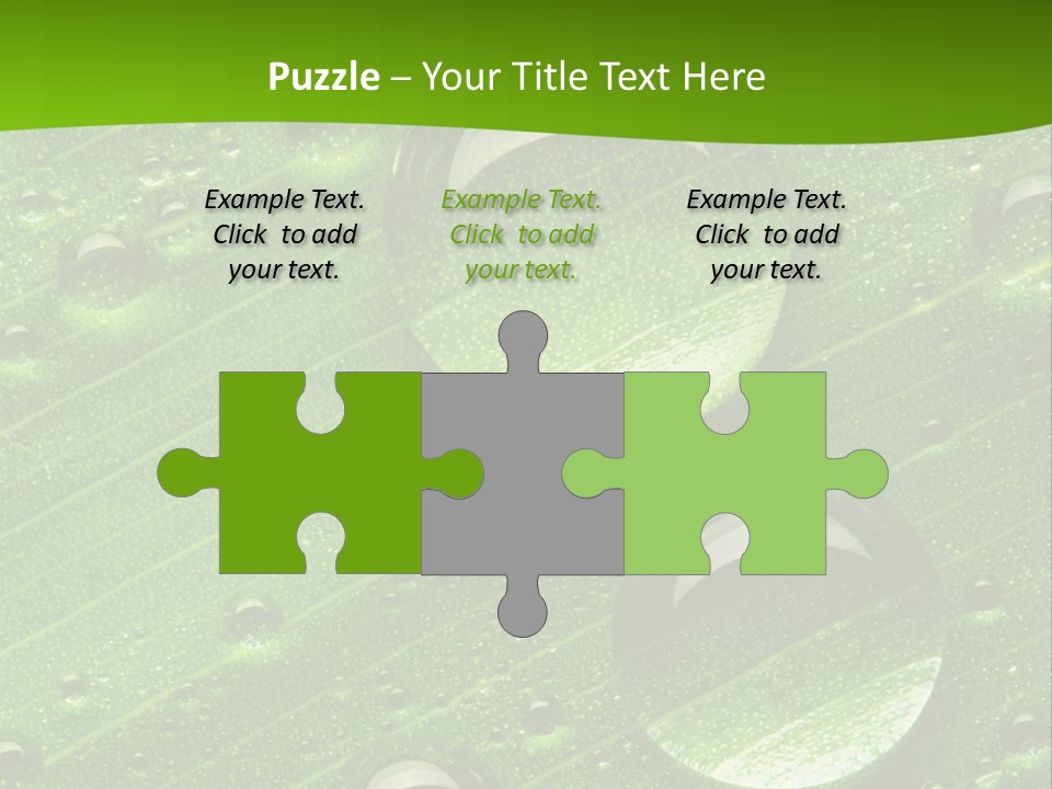 Water Drops On Fresh Green Leaf, Isolated On White PowerPoint Template