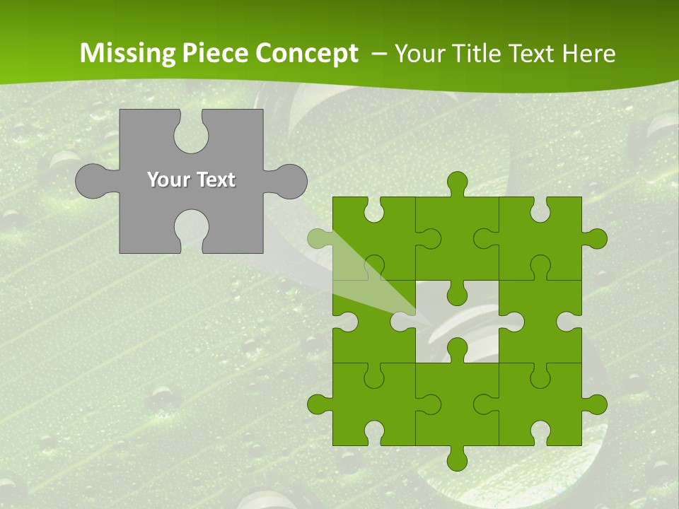 Water Drops On Fresh Green Leaf, Isolated On White PowerPoint Template