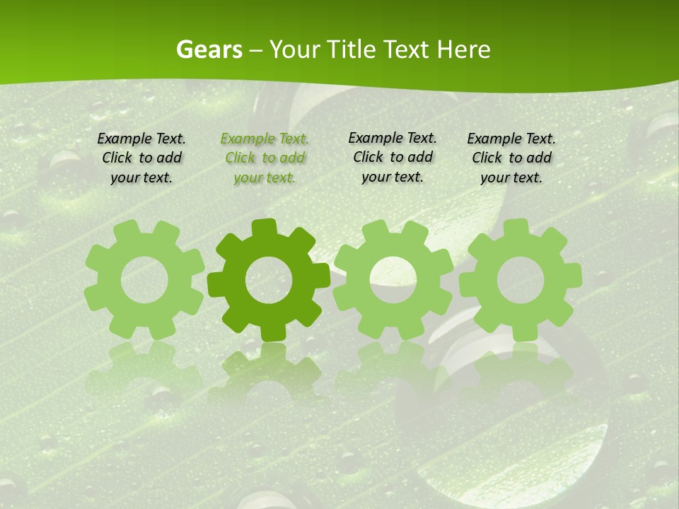 Water Drops On Fresh Green Leaf, Isolated On White PowerPoint Template