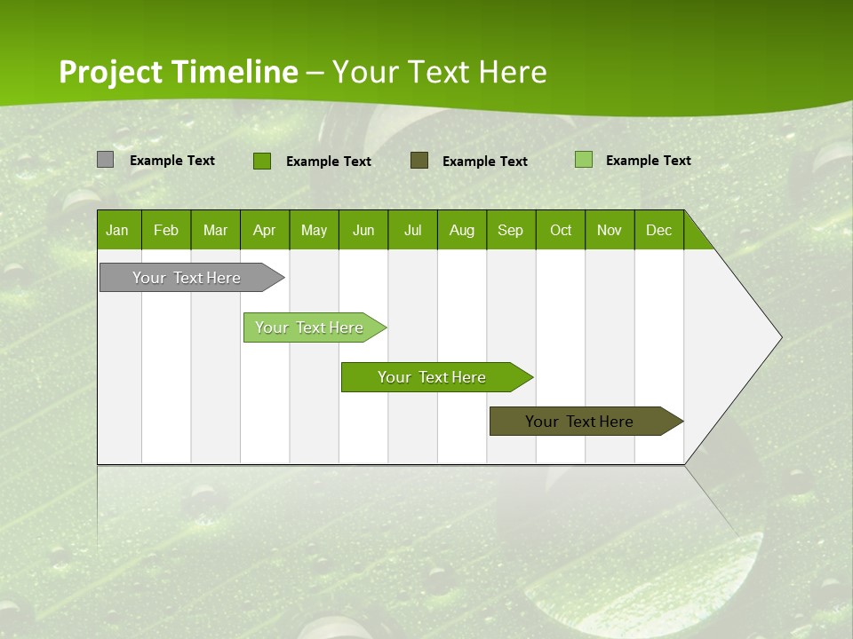 Water Drops On Fresh Green Leaf, Isolated On White PowerPoint Template