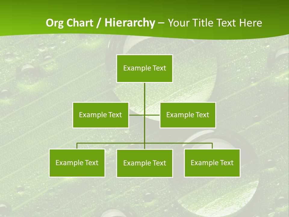 Water Drops On Fresh Green Leaf, Isolated On White PowerPoint Template