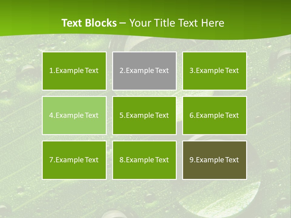 Water Drops On Fresh Green Leaf, Isolated On White PowerPoint Template