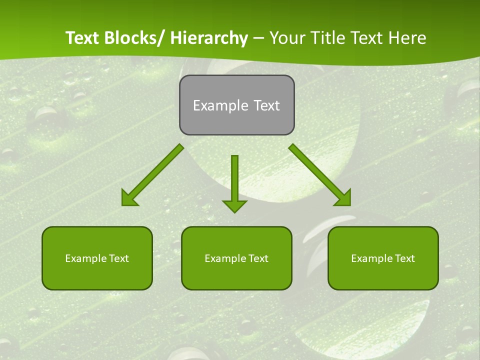 Water Drops On Fresh Green Leaf, Isolated On White PowerPoint Template