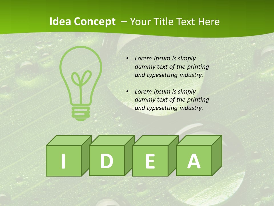 Water Drops On Fresh Green Leaf, Isolated On White PowerPoint Template