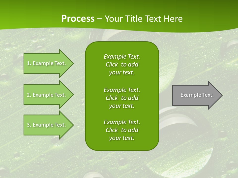 Water Drops On Fresh Green Leaf, Isolated On White PowerPoint Template