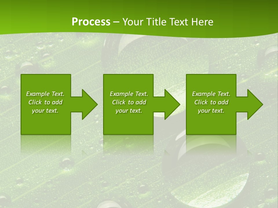 Water Drops On Fresh Green Leaf, Isolated On White PowerPoint Template