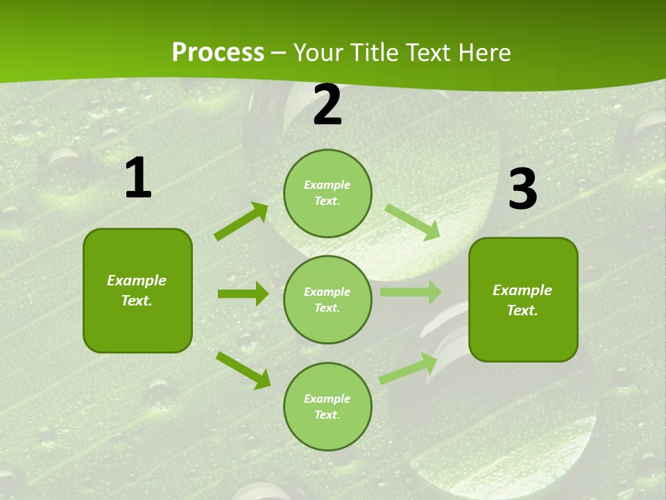 Water Drops On Fresh Green Leaf, Isolated On White PowerPoint Template