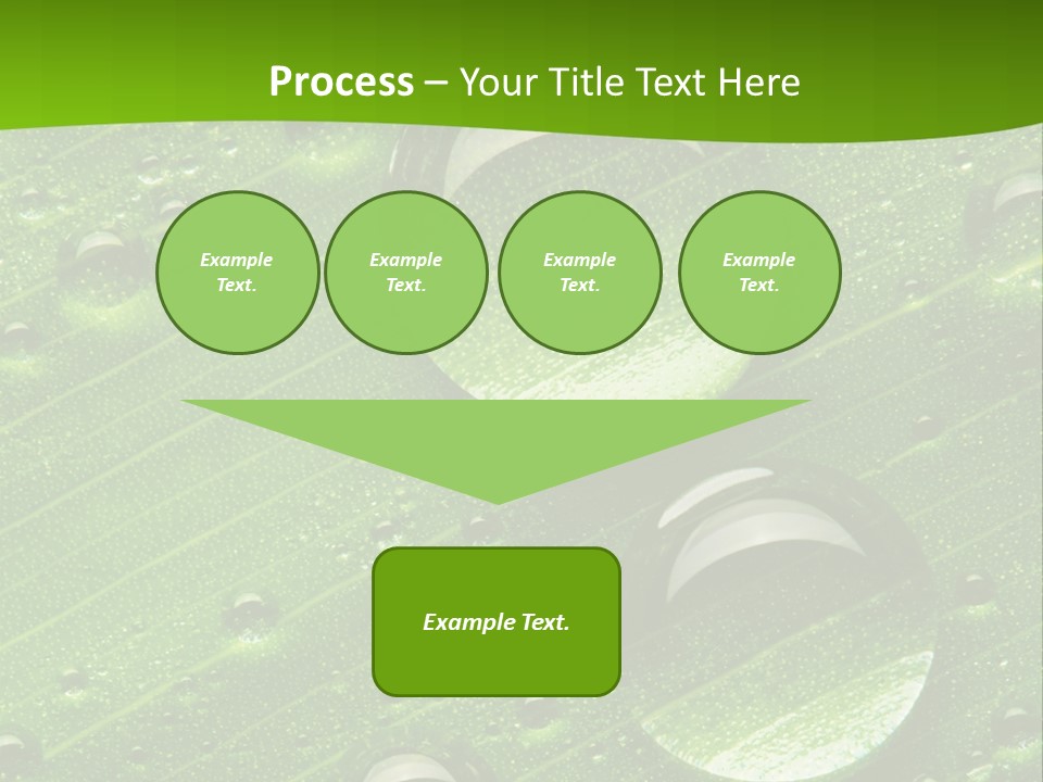 Water Drops On Fresh Green Leaf, Isolated On White PowerPoint Template