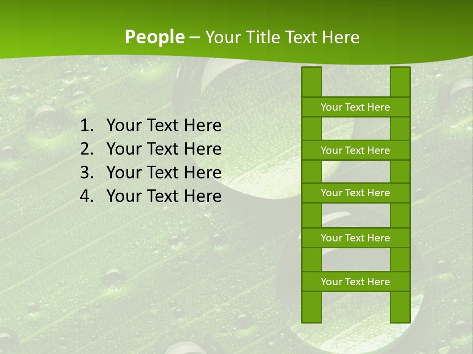 Water Drops On Fresh Green Leaf, Isolated On White PowerPoint Template