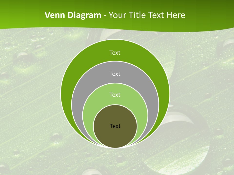 Water Drops On Fresh Green Leaf, Isolated On White PowerPoint Template