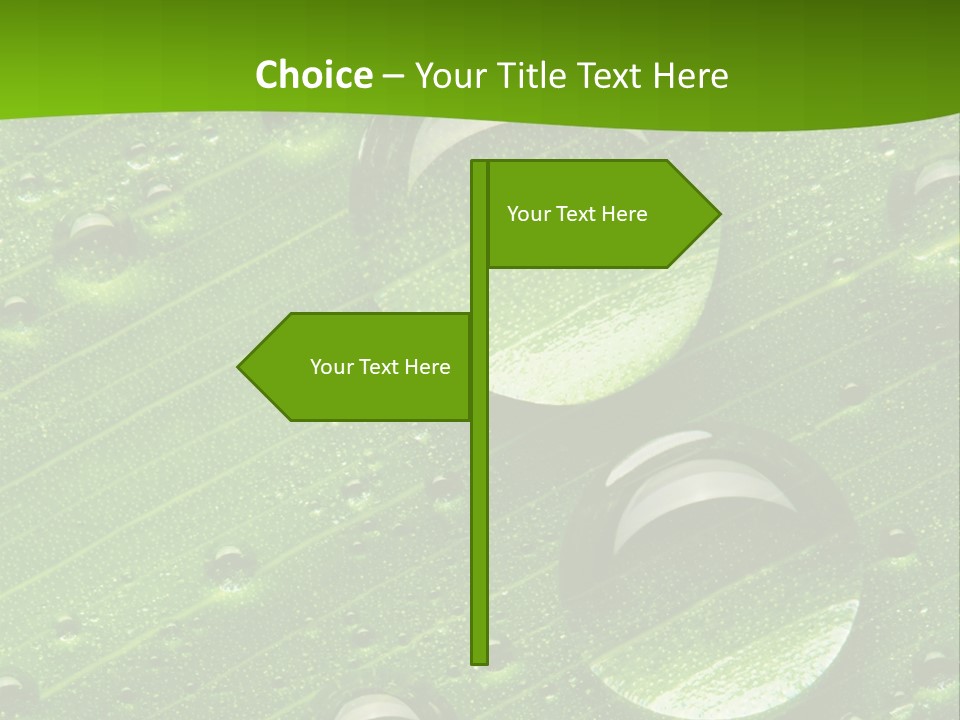 Water Drops On Fresh Green Leaf, Isolated On White PowerPoint Template