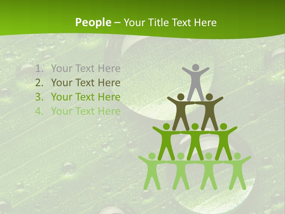 Water Drops On Fresh Green Leaf, Isolated On White PowerPoint Template