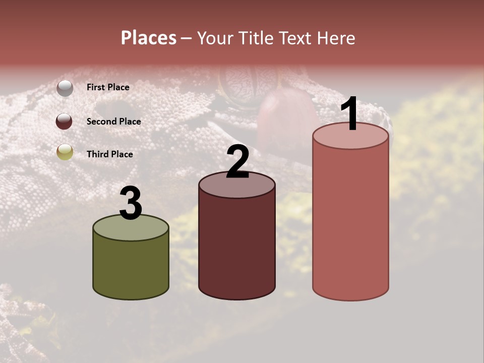 Gargoyle Gecko PowerPoint Template