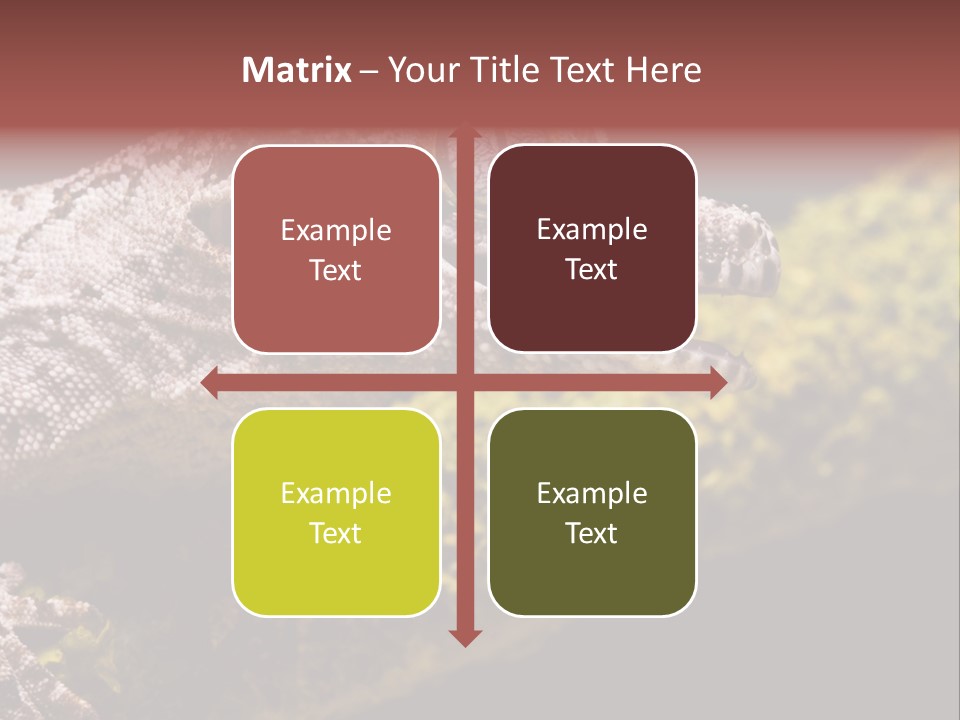 Gargoyle Gecko PowerPoint Template