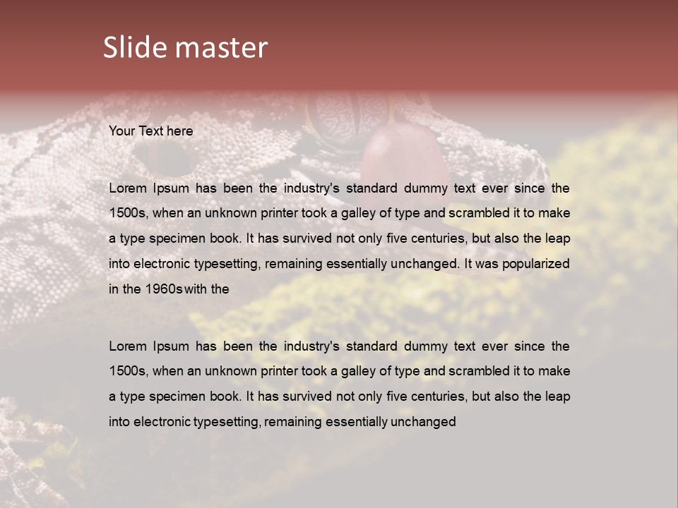 Gargoyle Gecko PowerPoint Template