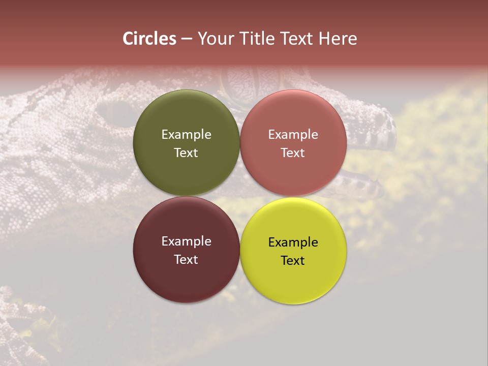 Gargoyle Gecko PowerPoint Template