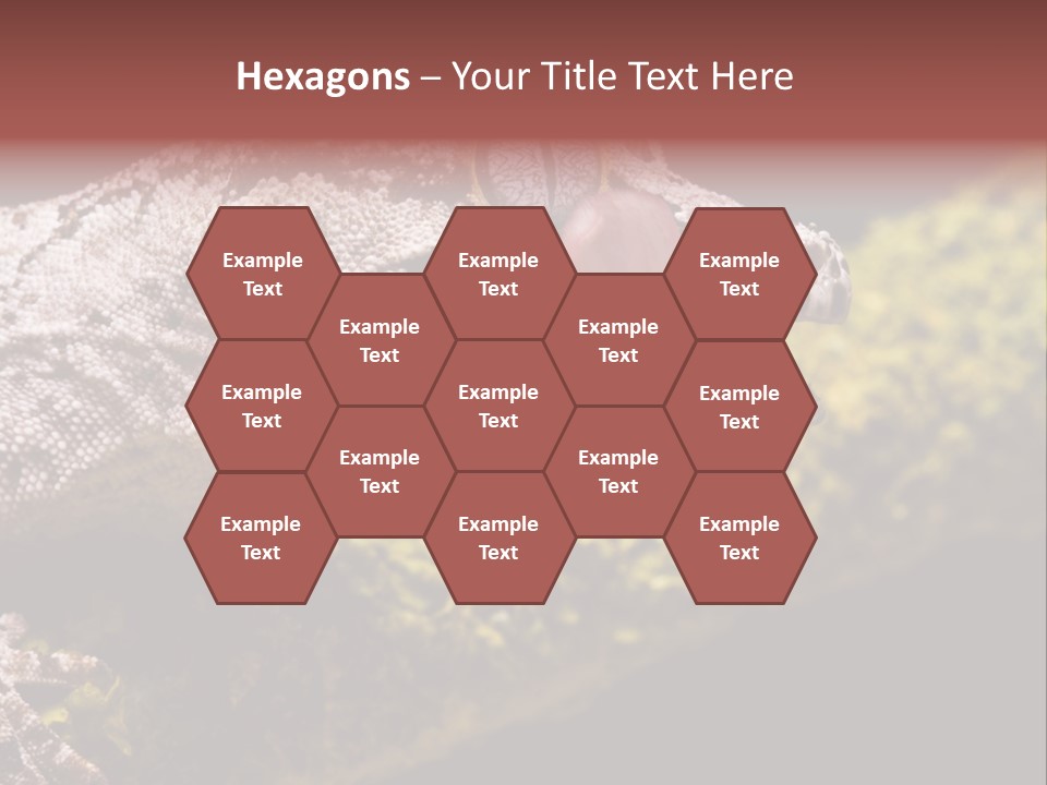 Gargoyle Gecko PowerPoint Template