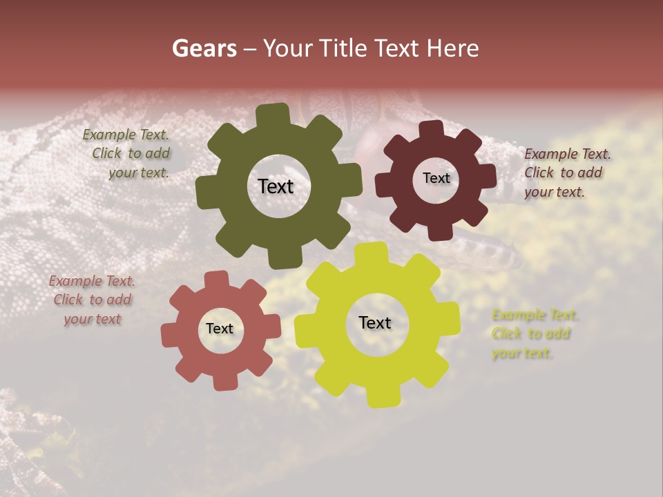 Gargoyle Gecko PowerPoint Template