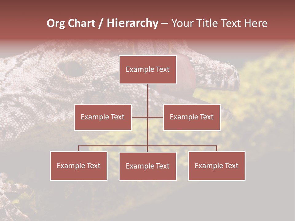 Gargoyle Gecko PowerPoint Template