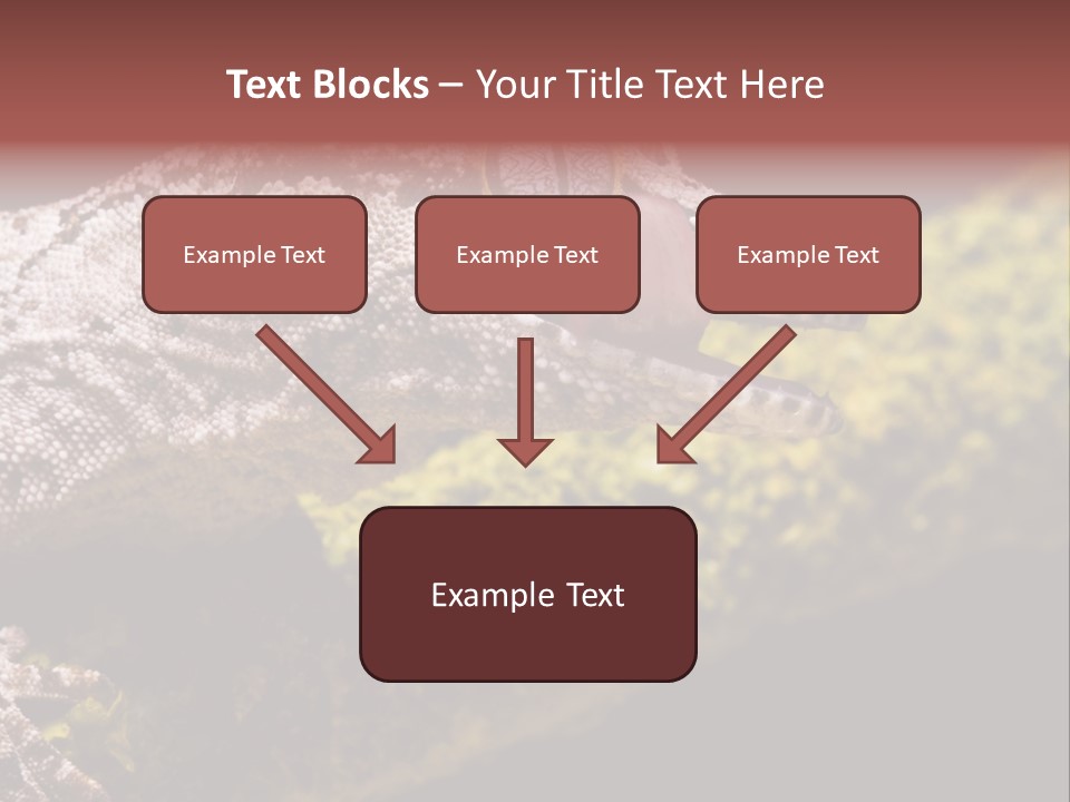 Gargoyle Gecko PowerPoint Template