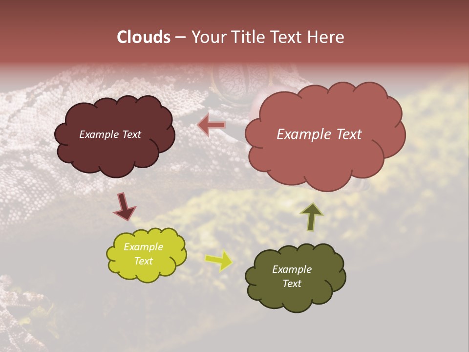 Gargoyle Gecko PowerPoint Template