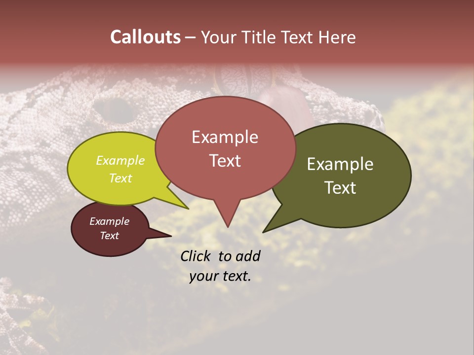 Gargoyle Gecko PowerPoint Template