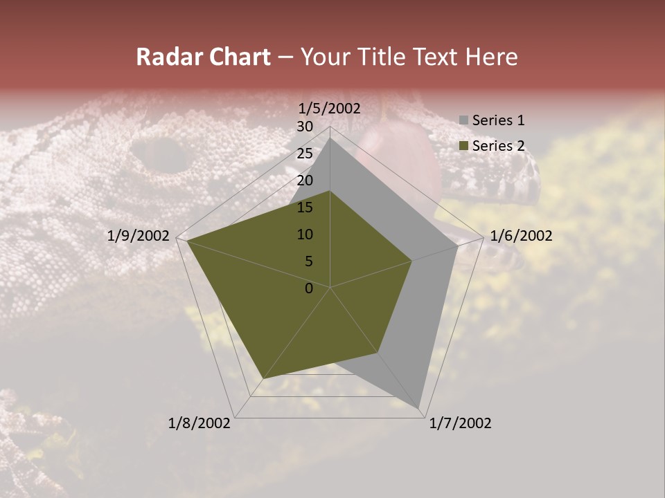 Gargoyle Gecko PowerPoint Template