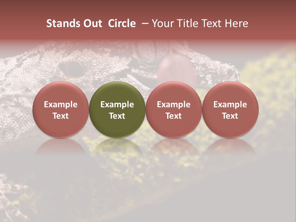Gargoyle Gecko PowerPoint Template