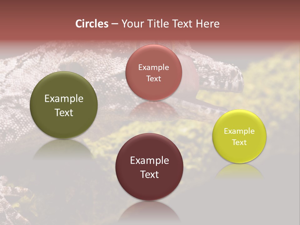 Gargoyle Gecko PowerPoint Template