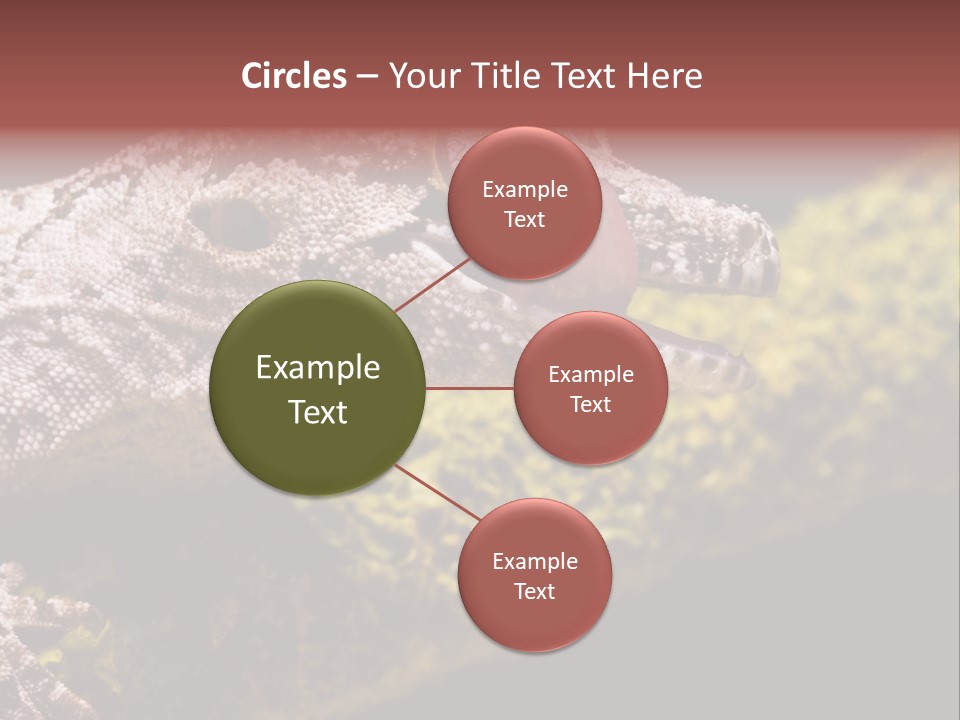 Gargoyle Gecko PowerPoint Template