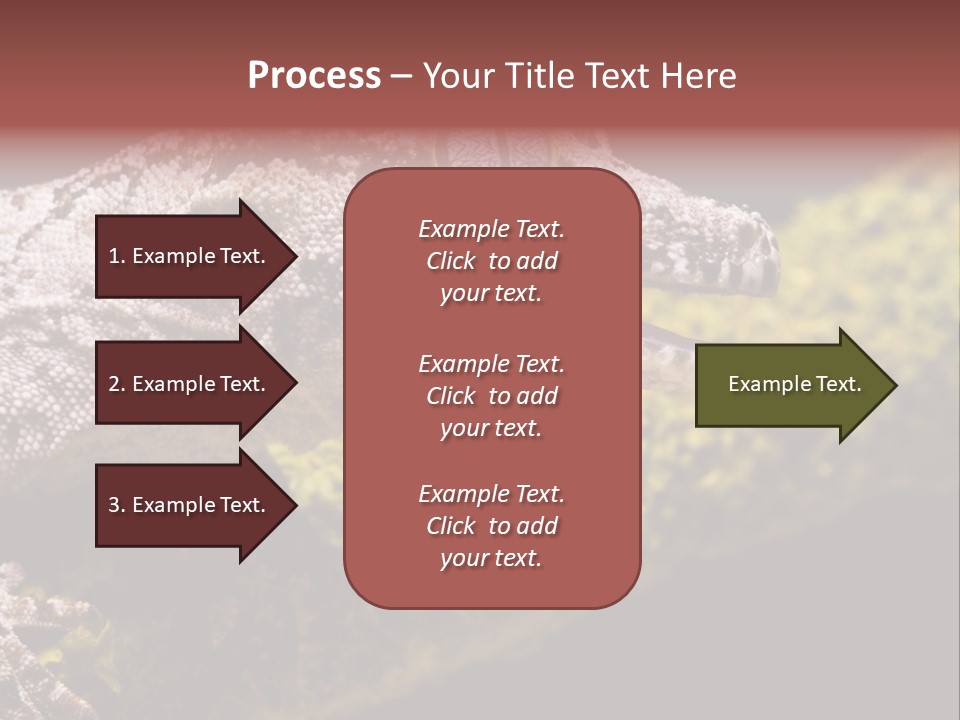 Gargoyle Gecko PowerPoint Template