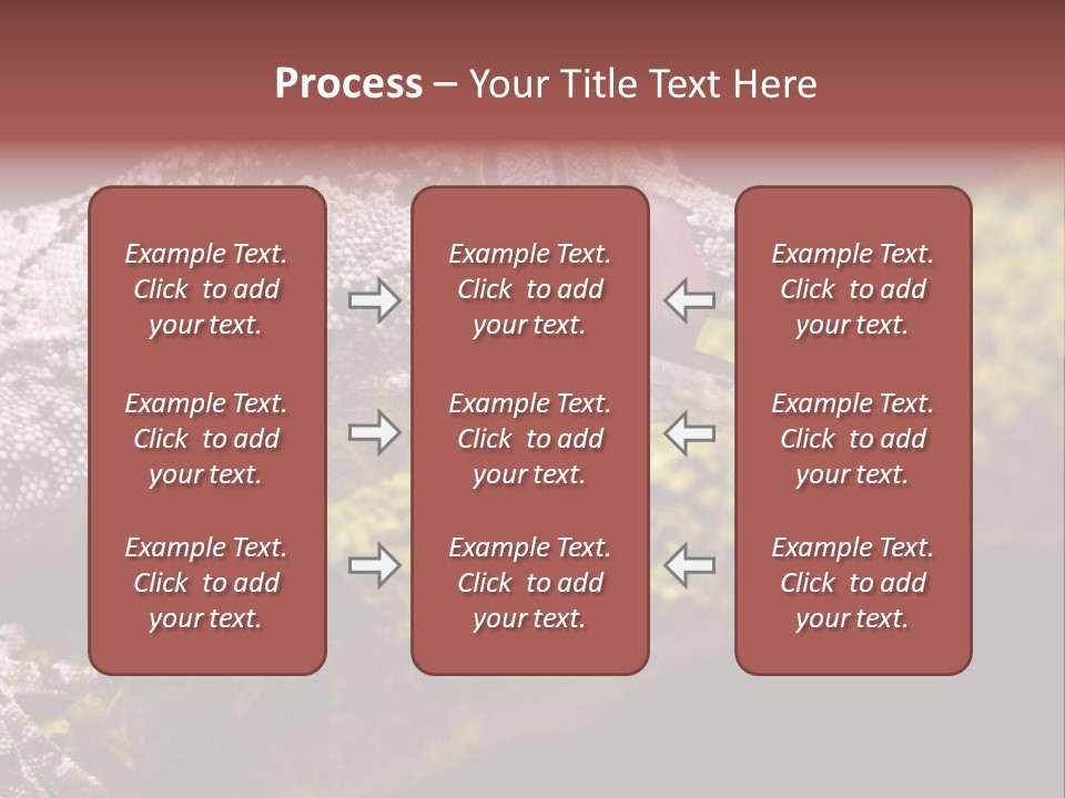 Gargoyle Gecko PowerPoint Template