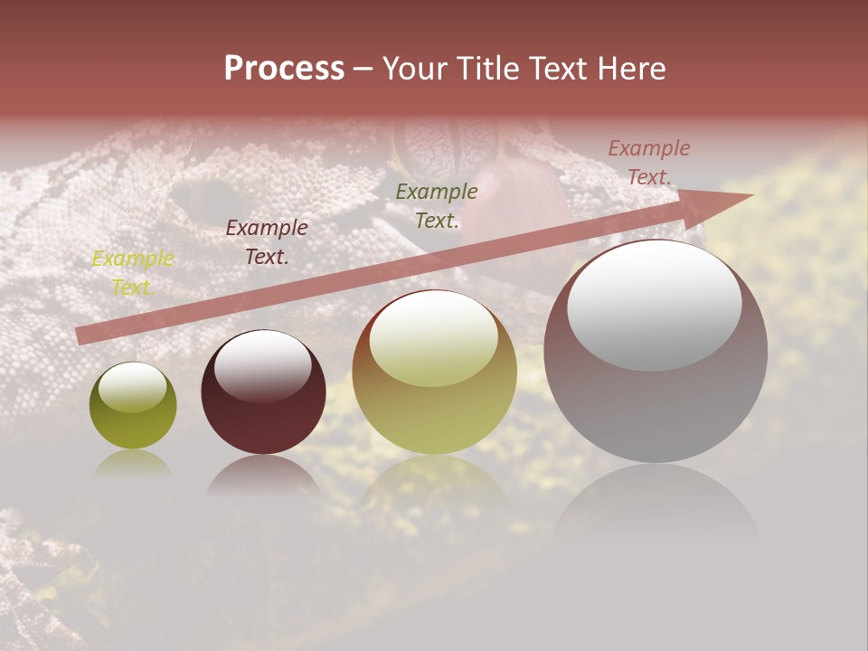 Gargoyle Gecko PowerPoint Template