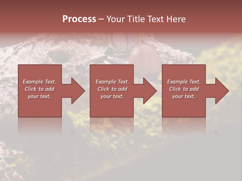 Gargoyle Gecko PowerPoint Template