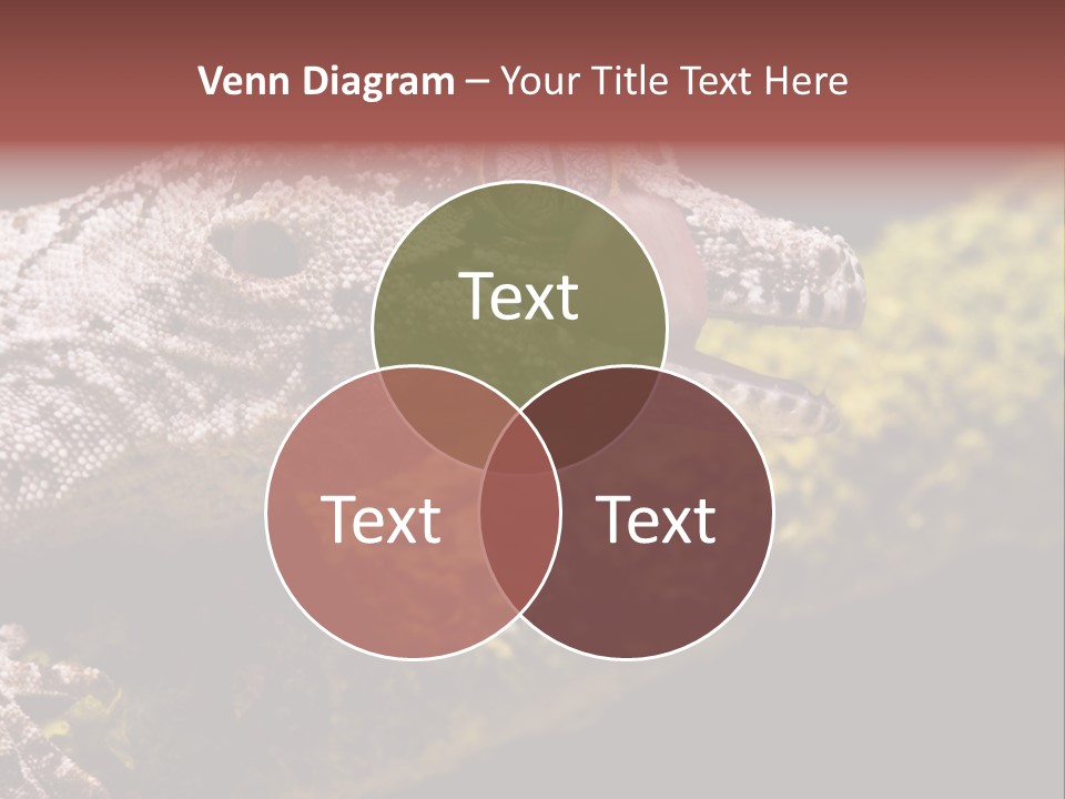 Gargoyle Gecko PowerPoint Template