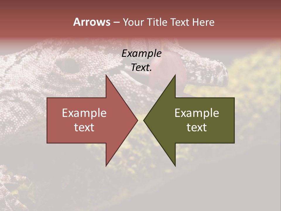 Gargoyle Gecko PowerPoint Template